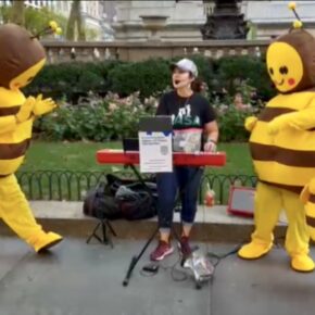 Busking by USA Rail Pass: Dancing Bees Surrounded Me in Manhattan!